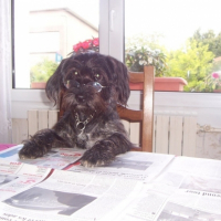 Photo #202516 de Sally