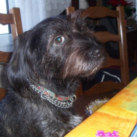 Photo #202521 de Sally