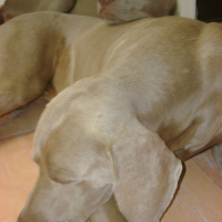 Photo #202523 de Ezekiel