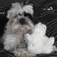 Photo #202578 de Loulou