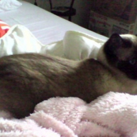 Photo #202615 de Louise