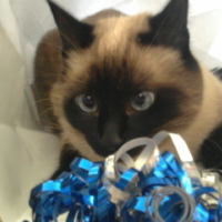 Photo #202618 de Louise