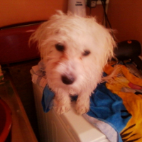 Photo #202622 de Elliot