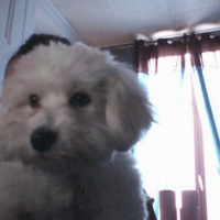 Photo #202625 de Elliot