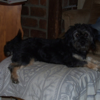 Photo #202626 de Alvin