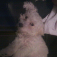 Photo #202634 de Elliot