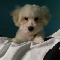 Photo #202638 de Elliot