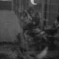 Photo #202838 de Titi