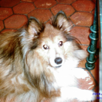 Photo #202857 de Moreen