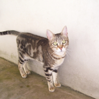 Photo #202861 de Check