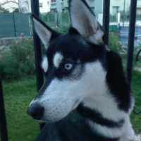 Photo #202925 de Maya