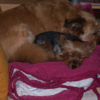 Photo #202951 de Prisca