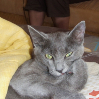 Photo #203050 de Rubis