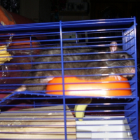 Photo #203052 de Bounty
