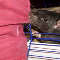 Photo #203057 de Bounty