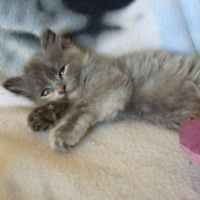 Photo #203068 de Mina