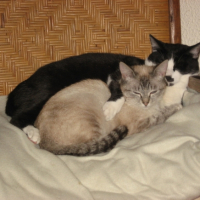 Photo #203073 de Mimine