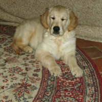 Photo #203079 de Chance