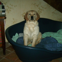 Photo #203083 de Chance