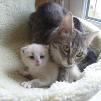 Photo #203086 de Kazu