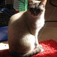 Photo #203088 de Mimine