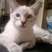 Photo #203090 de Isis