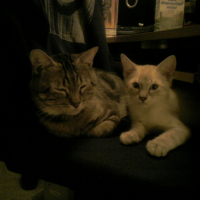 Photo #203091 de Isis