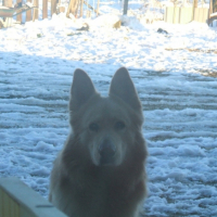 Photo #203122 de Snoop