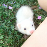 <3
