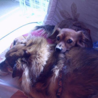 Photo #203164 de Nina