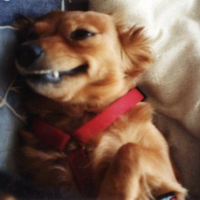 Photo #203165 de Nina