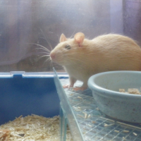 Photo #203209 de Stuart