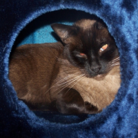 Photo #203223 de Leo