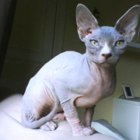 Photo #203255 de Dalloz