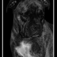 Photo #203313 de Xenna