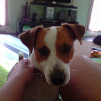 Photo #203357 de Cambell