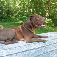 Photo #203438 de Crunch
