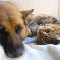 Photo #203463 de Clyde