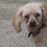 Photo #203512 de Fanny