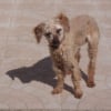 photonouvelle2222_040