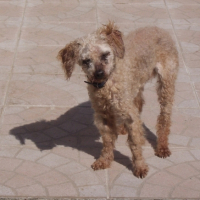 Photo #203516 de Fanny