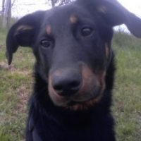 Photo #203534 de Jessy