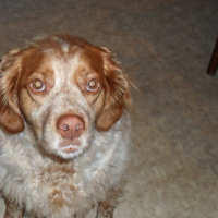 Photo #203556 de Asia