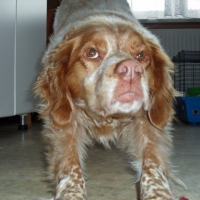 Photo #203563 de Asia