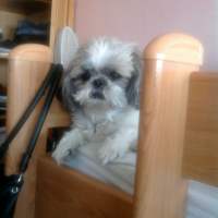 Photo #203744 de Twisty
