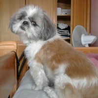 Photo #203747 de Twisty