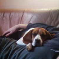 Photo #203795 de Kaia