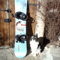 Photo #203891 de Benjie