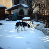 Photo #203895 de Benjie