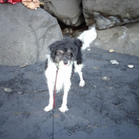 Photo #203899 de Benjie